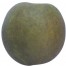 Grüner Boskoop, Apfel Halbstamm, seite