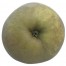 Grüner Boskoop, Apfel Busch, unten