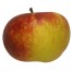 Ingrid Marie, Apfel, seite