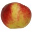 Jakob Fischer, Apfelbaum, Apfel seite