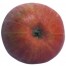 James Grieve, Apfelbaum Apfel Hochstamm, unten