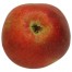 Kaiser Wilhelm, Apfel, unten