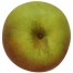 Krügers Dickstiel, Apfelbaum Apfel oben