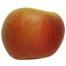Krügers Dickstiel, Apfel seite