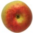 Krügers Dickstiel, Apfelbaum Apfel unten