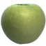 Landsberger Renette, Apfel Hochstamm, seite