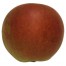 Laxtons Superb, Apfel seite