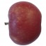 McIntosh, Apfel Säule, seite