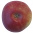 McIntosh, Apfel Säule, unten