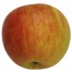 Melrose, Apfel seite