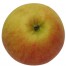 Melrose, Apfel unten