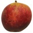 Purpurroter Cousinot, Apfel seite