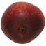 Purpurroter Cousinot, Apfel unten