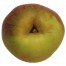 Rheinischer Krummstiel, Apfelbaum Apfel oben