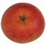 Rote Sternrenette, Apfel unten