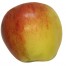Roter Bellefleur, Apfel seite