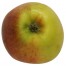 Roter Bellefleur Apfelbaum Hochstamm, Apfel unten