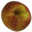 Boskoop rot, Apfel Busch, oben