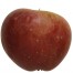 Roter Eiserapfel, Apfelbaum Hochstamm, Apfel seite