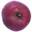 Jonathan, Apfelbaum Hochstamm, Apfel oben