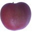 Jonathan, Apfelbaum Hochstamm, Apfel seite