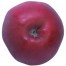 Jonathan, Apfelbaum Hochstamm, Apfel unten
