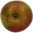 Schöner von Boskoop, Apfel oben