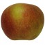 Schöner von Boskoop, Apfelbaum Hochstamm Apfel seite