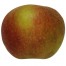 Schöner von Boskoop, Apfel seite