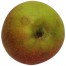 Schöner von Boskoop, Apfel unten