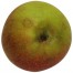 Schöner von Boskoop, Apfelbaum Hochstamm Apfel unten