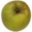 Schöner aus Wiedenbrück, Apfel oben
