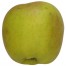 Schöner aus Wiedenbrück, Apfel seite