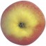 Shampion, Apfel unten