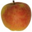 Brettacher, Apfelbaum Hochstamm Apfel seite