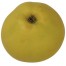 Klarapfel, unten