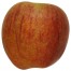 Westfaelischer Gülderling, Apfelbaum, Apfel seite