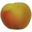 Zuccalmaglio Renette, Apfel seite